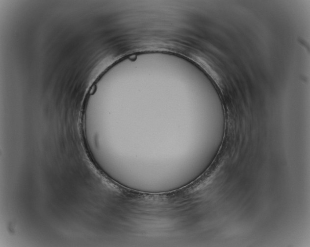 X0000098100901200804251401