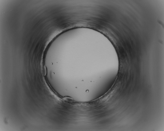 X0000098100902200804251401