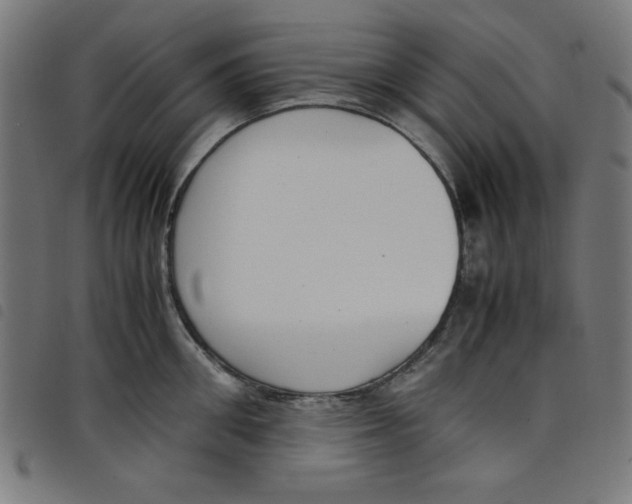 X0000098100906200804251401