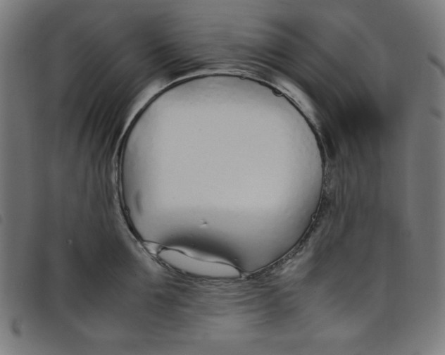 X0000098100907200804251401