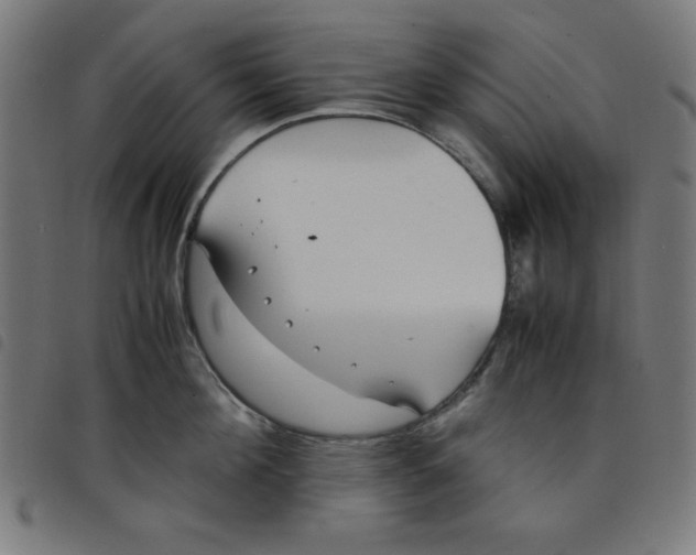 X0000098100908200804251401