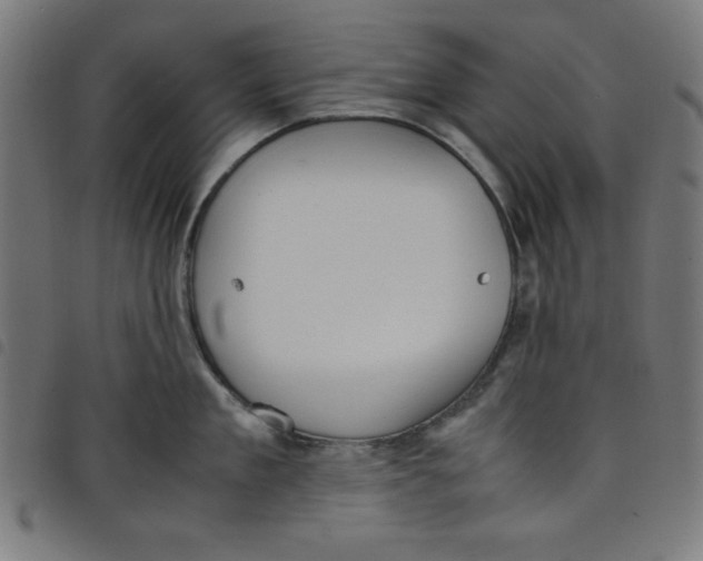 X0000098100909200804251401
