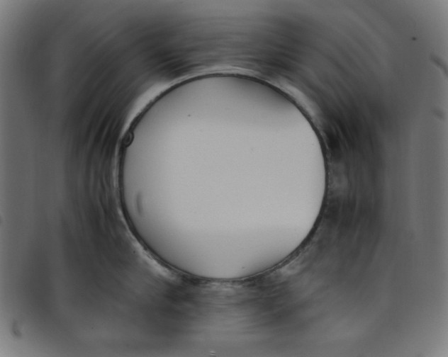 X0000098100910200804251401
