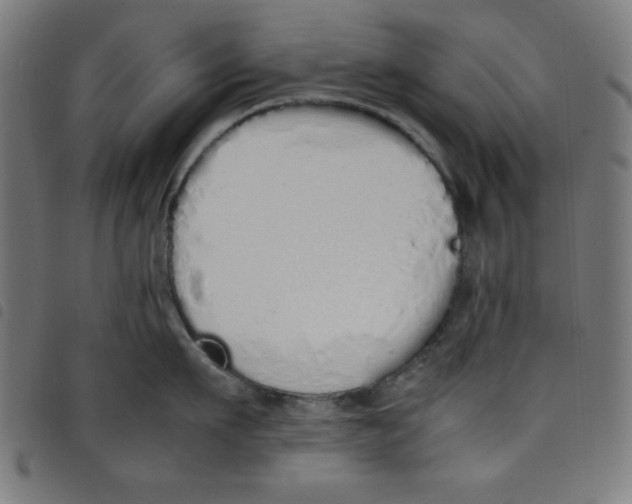 X0000098100911200804251401