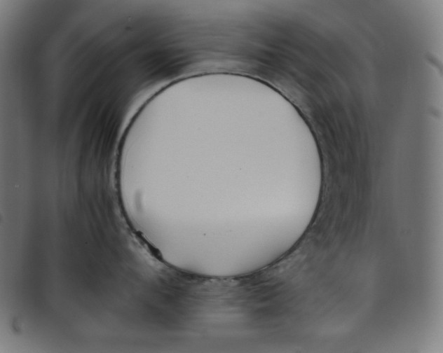 X0000098100912200804251401