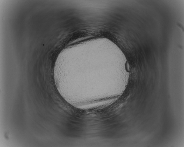 X0000098100913200804251401