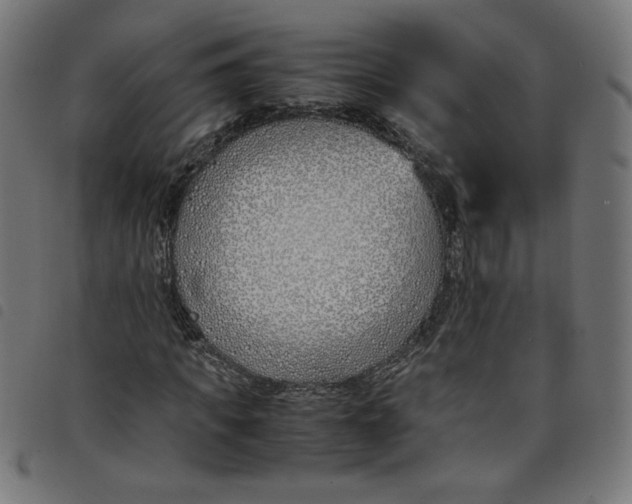 X0000098100917200804251401