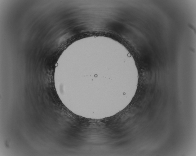 X0000098100918200804251401