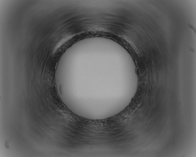 X0000098100919200804251401