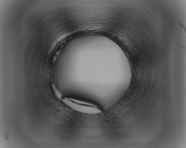 X0000098100920200804251401