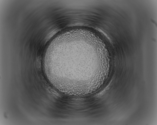 X0000098100921200804251401