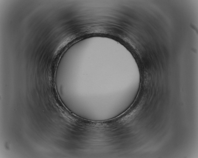 X0000098100922200804251401