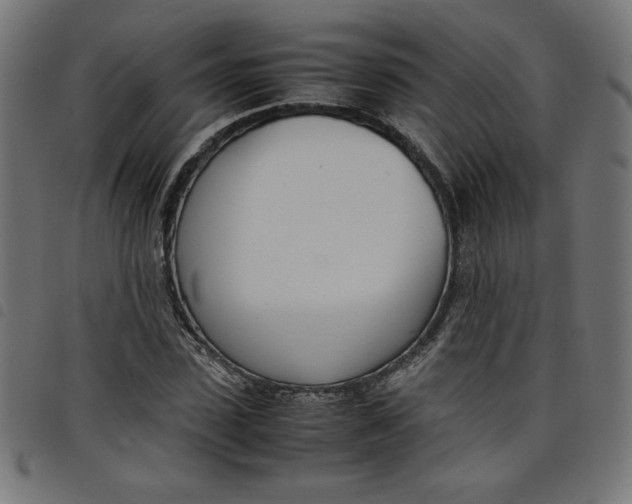 X0000098100923200804251401