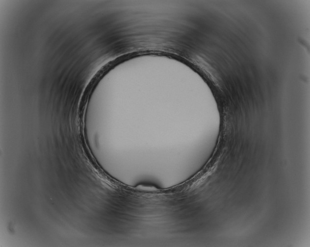 X0000098100924200804251401