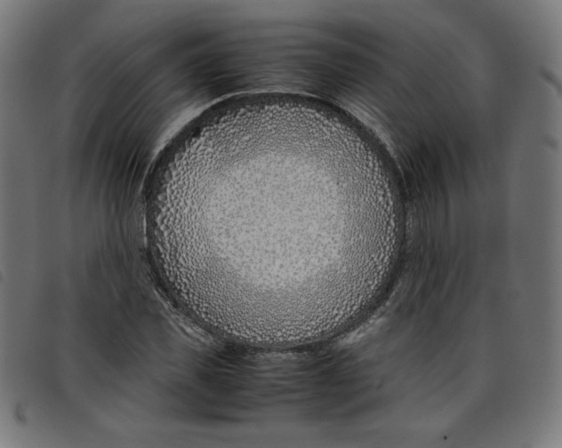 X0000098100925200804251401