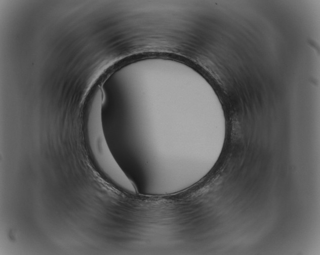 X0000098100926200804251401