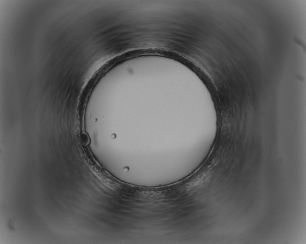 X0000098100927200804251401