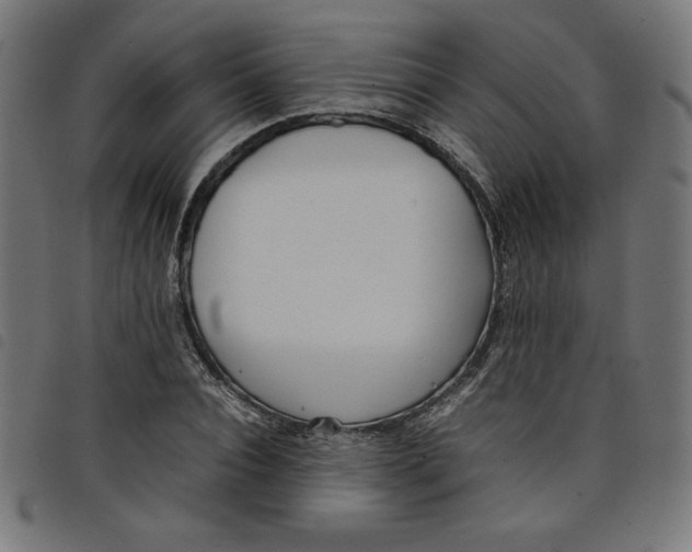 X0000098100928200804251401