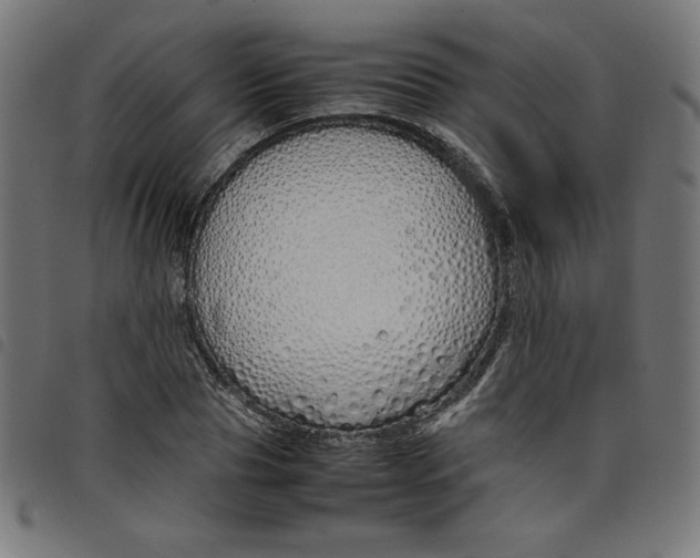 X0000098100929200804251401