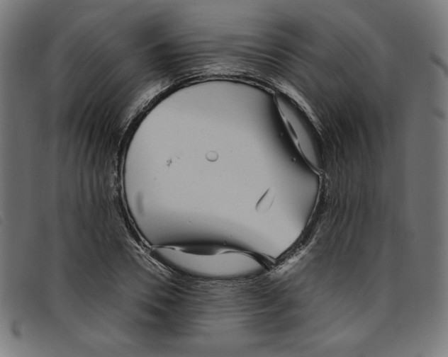 X0000098100930200804251401