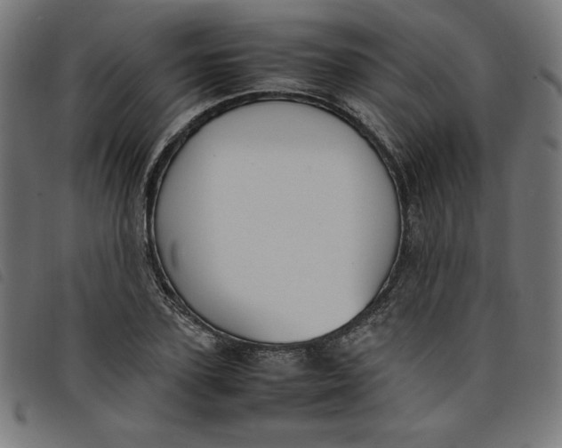 X0000098100931200804251401