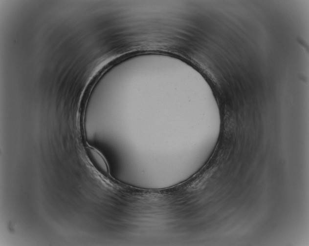 X0000098100932200804251401