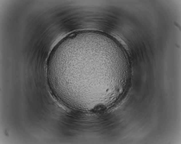 X0000098100933200804251401