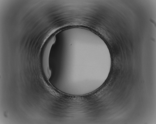 X0000098100934200804251401