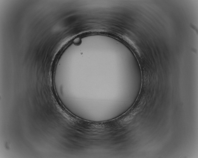 X0000098100935200804251401
