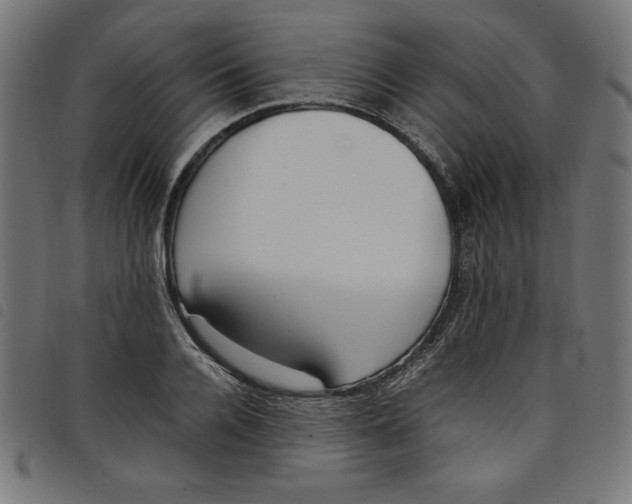 X0000098100936200804251401