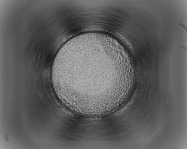 X0000098100937200804251401