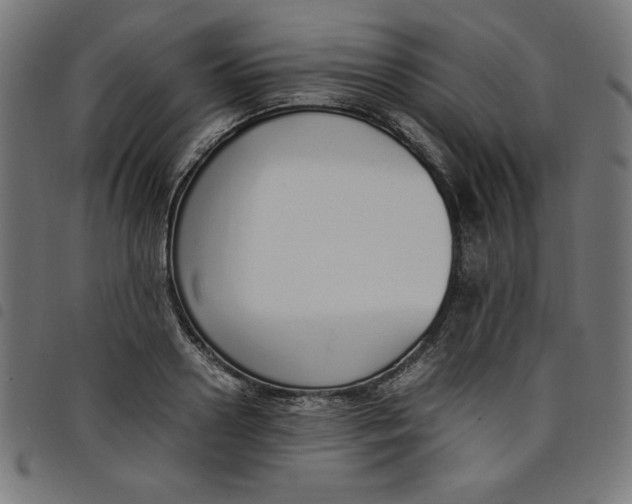 X0000098100938200804251401