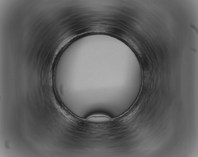 X0000098100939200804251401