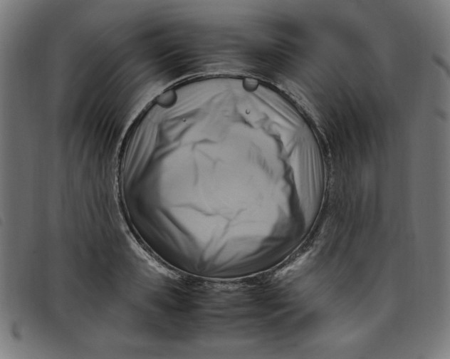 X0000098100941200804251401