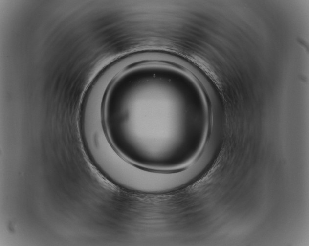 X0000098100942200804251401
