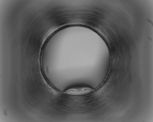 X0000098100943200804251401