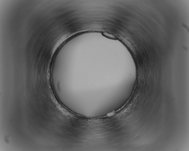X0000098100944200804251401