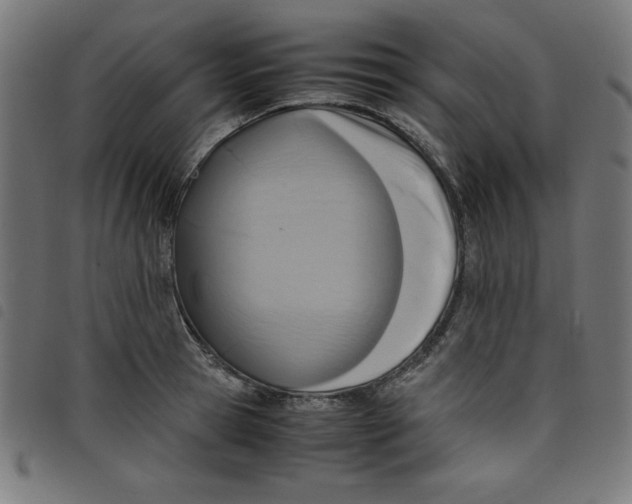X0000098100945200804251401
