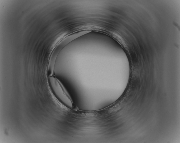 X0000098100946200804251401