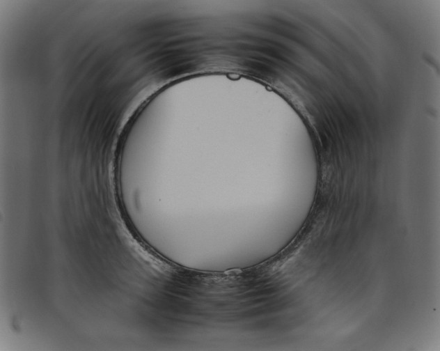 X0000098100947200804251401