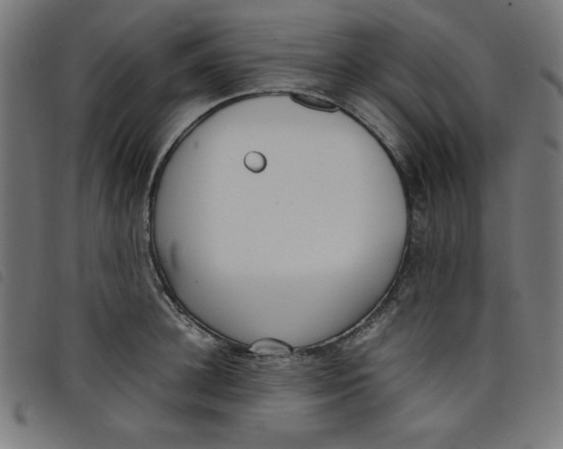 X0000098100948200804251401