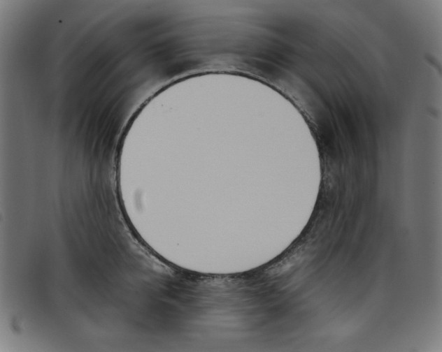 X0000098100950200804251401