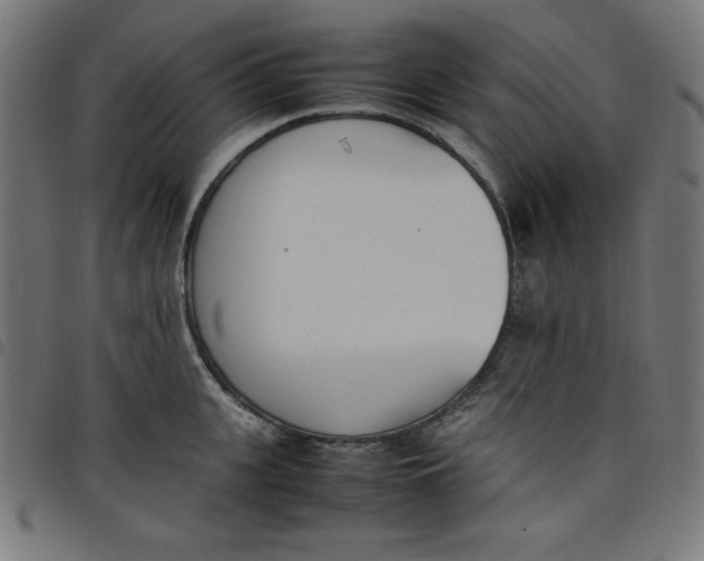 X0000098100951200804251401