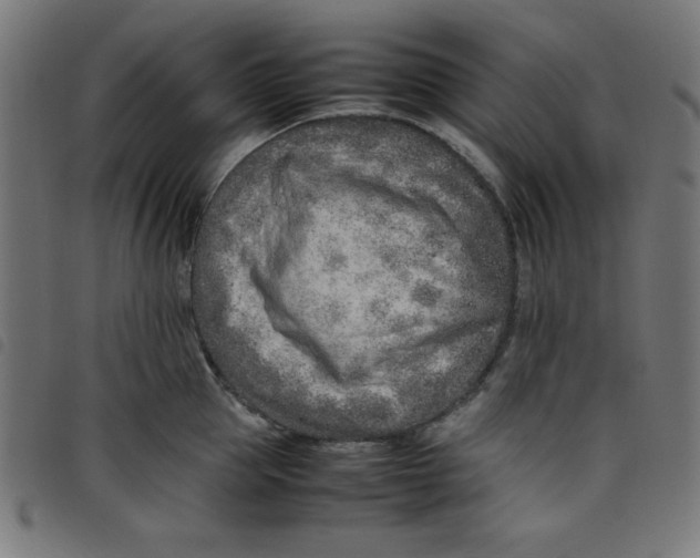 X0000098100953200804251401