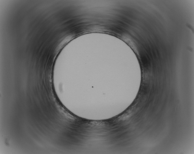 X0000098100954200804251401