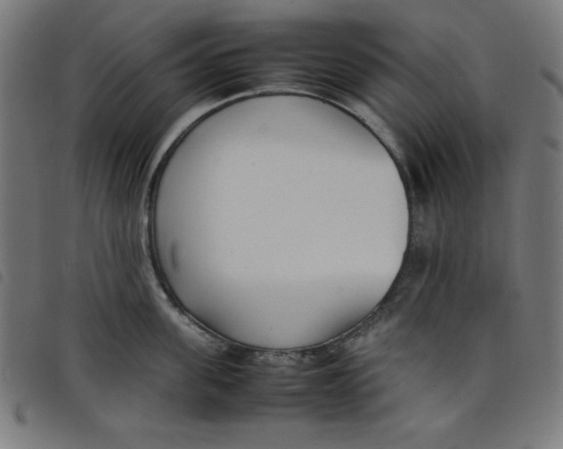 X0000098100955200804251401