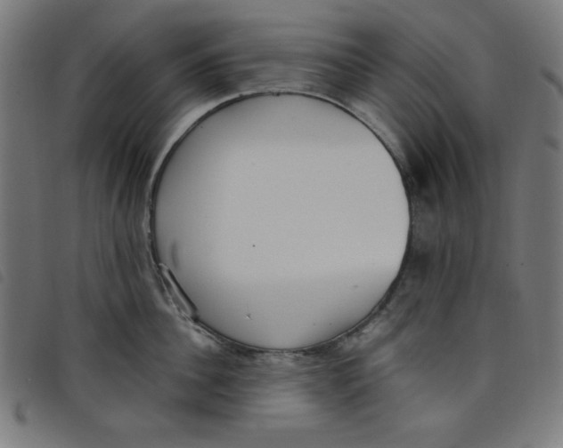 X0000098100956200804251401
