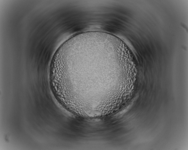 X0000098100957200804251401