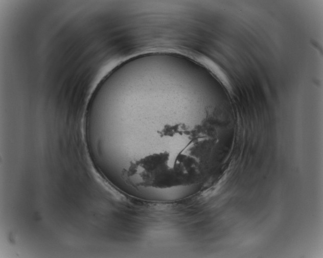 X0000098100958200804251401