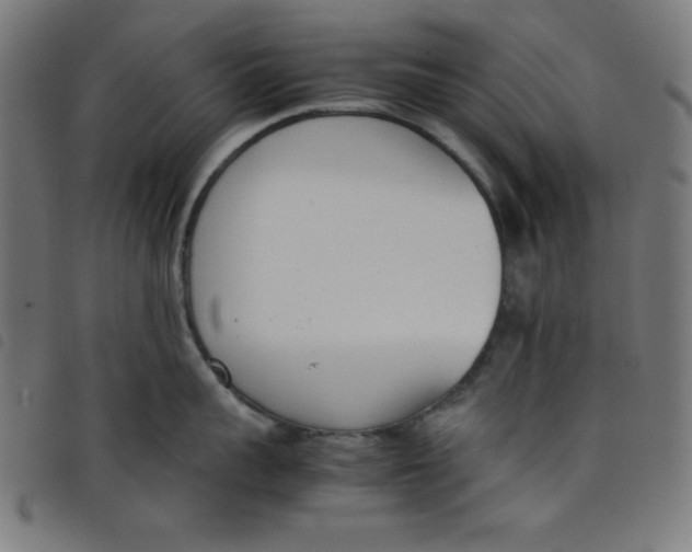 X0000098100959200804251401